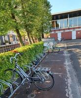 Fietsen zijn op zoek naar hun eigenaar